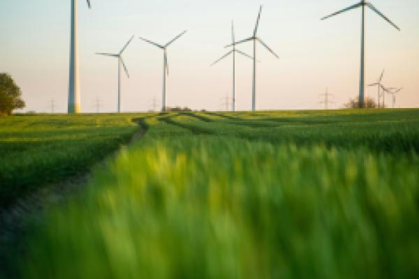 Grid & Core Modernization